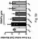 Fig. 08 - Cell Culture Surface Compositions, Systems, and Methods