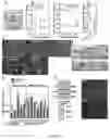 Fig. 02 - HUMAN BLOOD-BRAIN BARRIER MODEL DERIVED FROM STEM CELLS