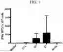 Fig. 02 - GENERATING HPV ANTIGEN-SPECIFIC T CELLS FROM A NAÏVE T CELL POPULATION