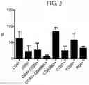Fig. 04 - GENERATING HPV ANTIGEN-SPECIFIC T CELLS FROM A NAÏVE T CELL POPULATION