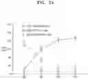 Fig. 05 - Natural killer cells exhibiting increased anticancer activity and immunotherapeutic use thereof
