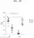 Fig. 08 - Natural killer cells exhibiting increased anticancer activity and immunotherapeutic use thereof