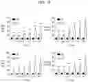 Fig. 22 - Natural killer cells exhibiting increased anticancer activity and immunotherapeutic use thereof
