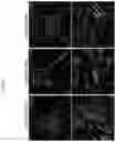 Fig. 09 - Generating vasculogenic cell populations