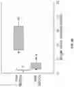 Fig. 08 - Nano-engineered therapeutic stealth cells