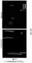 Fig. 43 - Nano-engineered therapeutic stealth cells