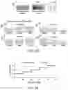 Fig. 09 - METHODS FOR TISSUE GENERATION