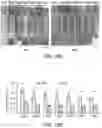 Fig. 71 - METHODS FOR TISSUE GENERATION