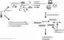 Fig. 01 - SIMULTANEOUS, SEQUENCING-BASED ANALYSIS OF PROTEINS, NUCLEOSOMES, AND CELL-FREE NUCLEIC ACIDS FROM A SINGLE BIOLOGICAL SAMPLE