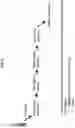 Fig. 06 - SIMULTANEOUS, SEQUENCING-BASED ANALYSIS OF PROTEINS, NUCLEOSOMES, AND CELL-FREE NUCLEIC ACIDS FROM A SINGLE BIOLOGICAL SAMPLE