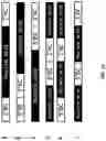 Fig. 12 - COMBINATORIAL SETS OF NUCLEIC ACID BARCODES FOR ANALYSIS OF NUCLEIC ACIDS ASSOCIATED WITH SINGLE CELLS