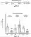 Fig. 02 - Myocardial enhancer RNA and methods of use