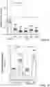 Fig. 06 - Myocardial enhancer RNA and methods of use