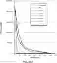 Fig. 45 - MULTIMERIC OLIGONUCLEOTIDES HAVING DECREASED KIDNEY CLEARANCE