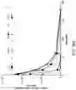 Fig. 46 - MULTIMERIC OLIGONUCLEOTIDES HAVING DECREASED KIDNEY CLEARANCE