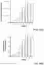 Fig. 49 - MULTIMERIC OLIGONUCLEOTIDES HAVING DECREASED KIDNEY CLEARANCE