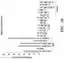 Fig. 03 - Antisense oligonucleotide-based progranulin augmentation therapy in neurodegenerative diseases