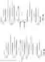 Fig. 07 - MODULATION OF NADPH GENERATION BY RECOMBINANT YEAST HOST CELL DURING FERMENTATION