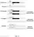 Fig. 15 - GLUCANASE PRODUCTION AND METHODS OF USING THE SAME