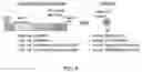 Fig. 07 - GENE THERAPY FOR OXIDATIVE STRESS
