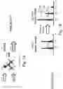 Fig. 02 - METHODS AND DEVICES FOR DETECTING A STIMULATED-RAMAN-SCATTERING (SRS) SIGNAL IN A SAMPLE