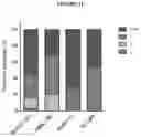 Fig. 18 - Compositions and methods for detecting protease activity in biological systems