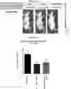 Fig. 21 - Compositions and methods for detecting protease activity in biological systems
