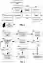 Fig. 03 - Geographically co-dependent document containers