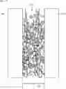 Fig. 01 - Secondary battery cell with solid polymer electrolyte