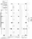 Fig. 10 - Deep learning eigen-beamforming
