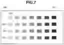 Fig. 08 - Utilizing luminance variation of the white area of the tone chart in tone correction