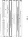 Fig. 09 - Symmetric motion vector difference coding