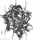 Fig. 02 - USE OF PROTEOLYTIC ENZYMES TO ENHANCE PROTEIN BIOAVAILABILITY
