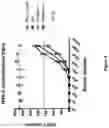 Fig. 05 - Modified MRNA vaccines encoding herpes simplex virus glycoproteins and uses thereof