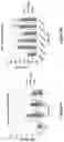 Fig. 06 - Modified MRNA vaccines encoding herpes simplex virus glycoproteins and uses thereof