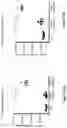 Fig. 11 - Modified MRNA vaccines encoding herpes simplex virus glycoproteins and uses thereof