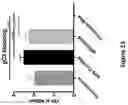 Fig. 13 - Modified MRNA vaccines encoding herpes simplex virus glycoproteins and uses thereof