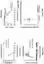Fig. 14 - Modified MRNA vaccines encoding herpes simplex virus glycoproteins and uses thereof
