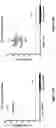 Fig. 15 - Modified MRNA vaccines encoding herpes simplex virus glycoproteins and uses thereof