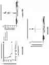 Fig. 16 - Modified MRNA vaccines encoding herpes simplex virus glycoproteins and uses thereof