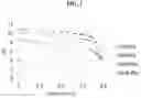 Fig. 02 - Gas dehydration