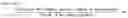 Fig. 02 - Prills of hydroquinone and method for obtaining the same