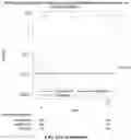Fig. 167 - Compositions and methods for preventing and treating coronavirus infection—SARS-CoV-2 vaccines