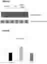 Fig. 19 - Neurodegenerative disorders