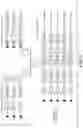 Fig. 04 - MULTISPECIFIC ANTIBODY SCREENING METHOD USING RECOMBINASE MEDIATED CASSETTE EXCHANGE