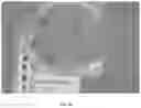 Fig. 06 - Plants comprising a low copy number of Ri genes