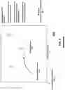 Fig. 07 - Autonomous + Automated Weapon System for Drones with Additional Linked Weapons
