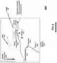 Fig. 08 - Autonomous + Automated Weapon System for Drones with Additional Linked Weapons