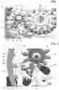 Fig. 02 - Indicator anti-correction system for a timepiece