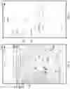 Fig. 05 - Formulated Query On Portable Device